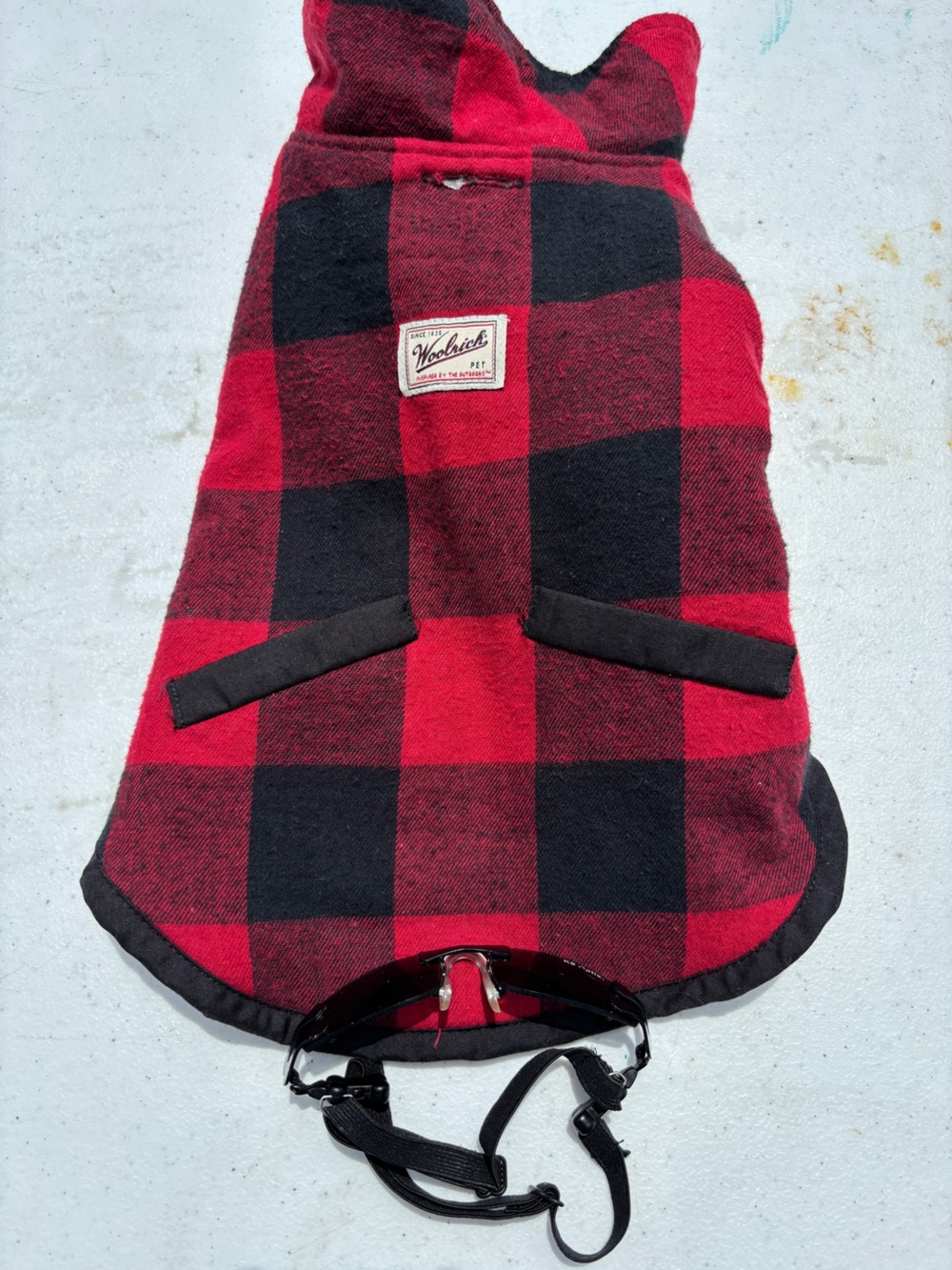 Red & Black Buffalo Plaid Woolrich Dog Coat with sunglasses